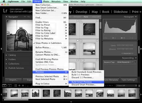 lightroom smart previews sd card|Lightroom Previews .